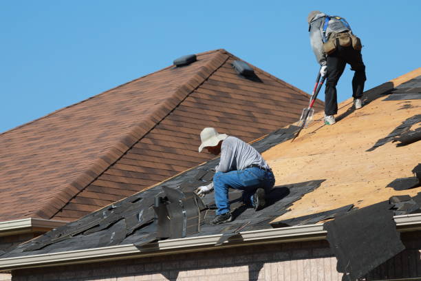 Best Roofing for New Construction  in Springfield, FL
